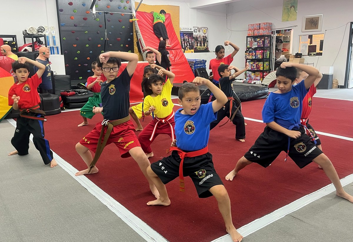 A student holding a foreground stance during forms practice.