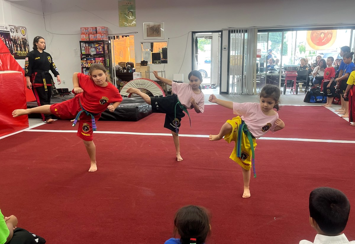 Three students practicing front kicks together in class.